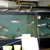 柳橋きたろう場内 - 