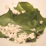 ル・ヴァンキャトル - ズワイガニとカブ