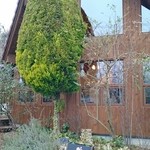 みつこ カフェ&ダイニング - 