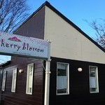 cafe cherry blossom - 