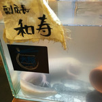 人類みな麺類 - 副店長