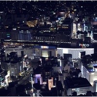 天空の庭　星のなる木 - 