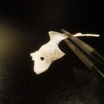 食彩播 - でた！