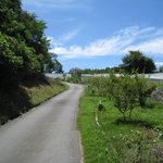 ガーデンレストラン 風舎 - ここを上がって行くと・・・