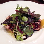 アンティカ オステリア バーチョ - 豚ヒレ肉のグリル・バルサミコソース