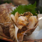 すし屋の喜楽 - つぶ貝