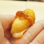 初音鮨 - '16.02 赤貝