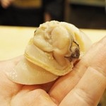 初音鮨 - '16.02 蛤