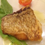 Luce Dining+ - 真鯛のポワレ　ハーブ塩添え
