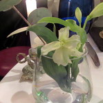 La Part Dieu - テーブルセット