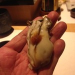 47231042 - カキ手渡し