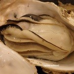 牡蠣屋 - 身がぷっくぷく♪