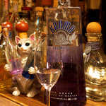 Gatito - カルマ・シルバー。酒瓶を持つ猫さんも可愛い