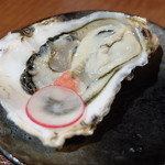 粋 - 牡蠣