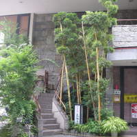 京かのこ - 2階へ続く入口階段付近