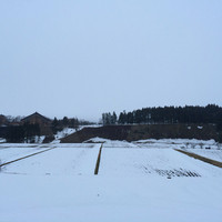 薪の音 - 到着時は雪もまばらで