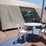 HORTUS X SEVEN SEEDS - HORTUS×SEVEN SOEEDS