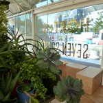 HORTUS X SEVEN SEEDS - 癒し系です＾＾