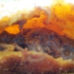 石窯パン工房 パトン - 