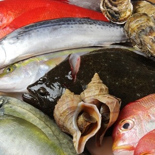 魚家族_1