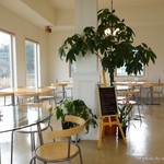 カッシー・デ・フルッティ - 2015年12月　