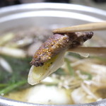 松乃荘 - 鴨ロースとネギ、七味かけてます。