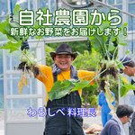 わらしべ - 料理長（自社さくら農園にて）