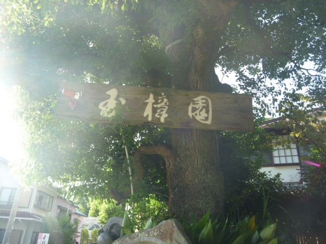 玉樟園新井 name=