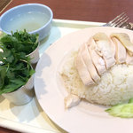 ガイトーン ラゾーナ川崎店 - カオマンガイ（大盛り＋パクチー追加）