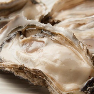 Kushiro Senpoushi Oyster /Specialty! Grilled Oyster