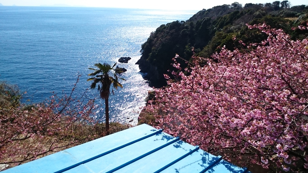 浜田屋 name=