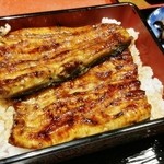 うなぎ かわかみ - 特上