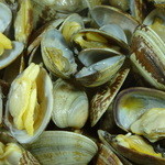 焼き鳥いちかばちか - あさりバター。