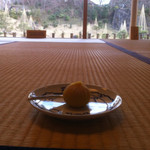 玉泉庵 - 硝子張りの向こうに素晴らしい庭園が見えます