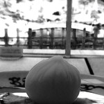 玉泉庵 - ノワール処理で雰囲気が増しました