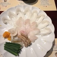 土佐料理 祢保希 赤坂店 - 