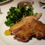 ヴィンチェロ - 