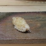 菊鮨 - うまみが舌に絡みつくアオリイカ