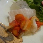 寿司くれしま - 夜泣き貝、寄り