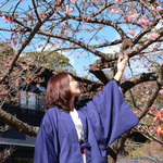 玉峰館 - 相方と河津桜☆