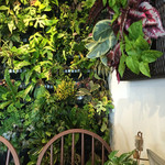 バンビーナ - 壁
      