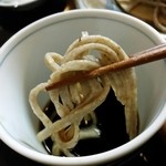 純手打ち十割そば 蕎澤 - 田舎そばをつゆで。