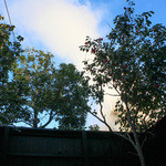 玉峰館 - 部屋風呂からも湯煙が望めます☆