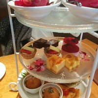 tcc GINZA - アフタヌーンティー