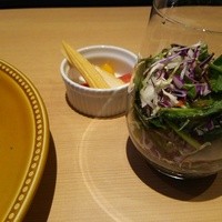 京洋食 まつもと - カツカレーにセットのサラダ