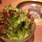 やきにく本舗 - 