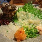 ん。 - オコゼ・・・生きてる・・・。