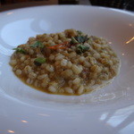 リストランテ シーヴァ - 大麦のリゾット、サワラのラグーソース