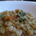 リストランテ シーヴァ - 大麦のリゾット、サワラのラグーソース