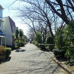 リストランテ シーヴァ - 桜プロムナード